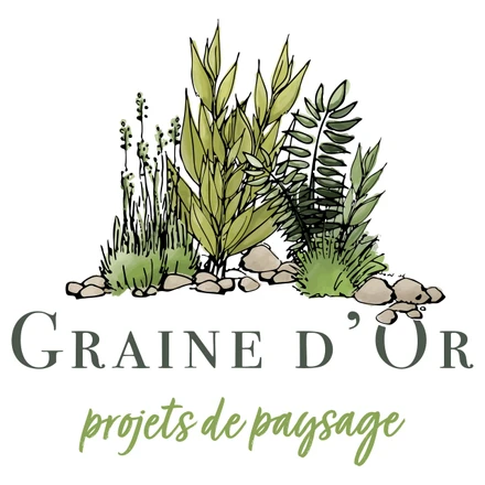 Graine d'Or