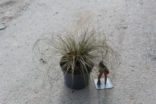 Pot 3L