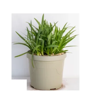 Pot 3,5L