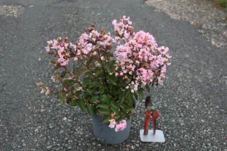 Pot 3L