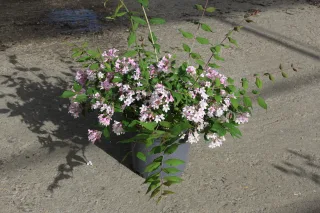 Pot 7.5L