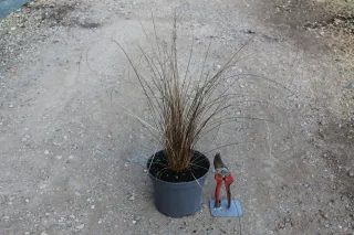 Pot 3L