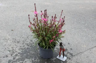 Pot 3L
