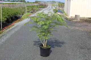 Pot 15L