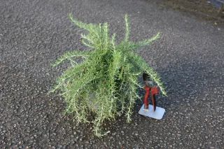 Pot 3L