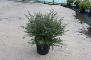 Pot 7.5L