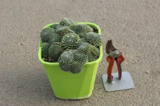 Pot 4L