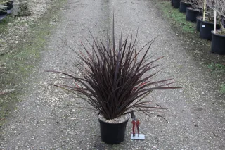 Pot 5L
