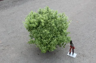 Pot 3L