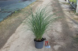 Pot 3L