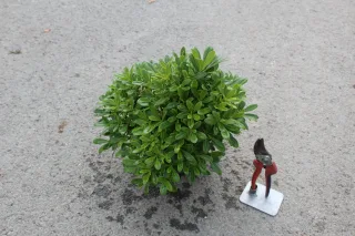Pot 3L