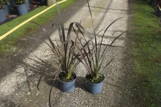 Pot 3L