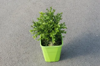 Pot 4L