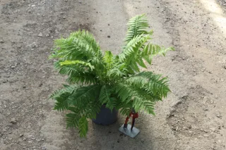 Pot 3L
