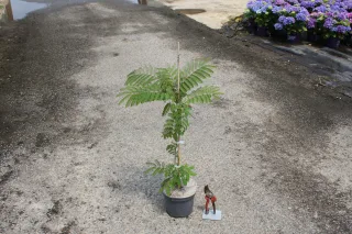 Pot 3L