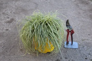Pot 3L