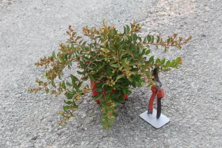 Pot 3L