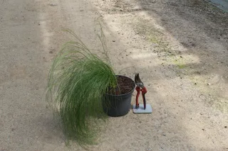 Pot 3L