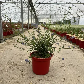 Pot 4L