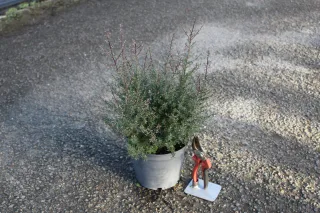 Pot 3L