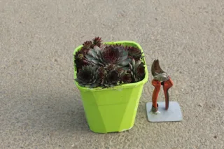 Pot 4L