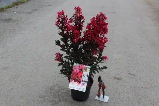 Pot 3L