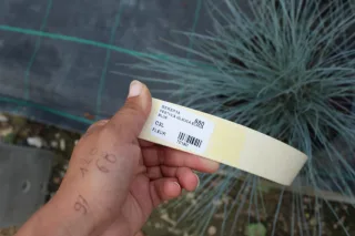 Pot 3L