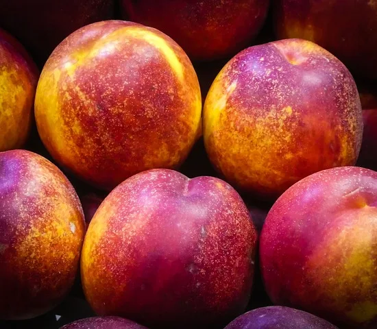 Nectarine snow queen