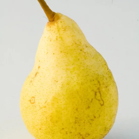 Poirier 'Bon chretien williams'