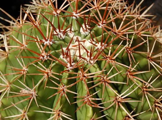 Pouzzolane, sable grossier