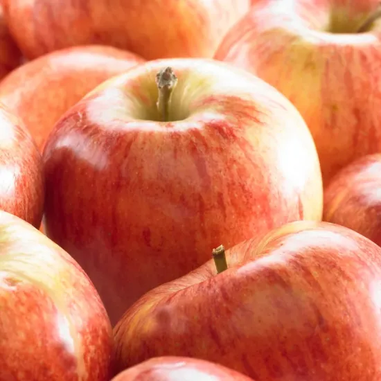 Pommier  'Royal gala'