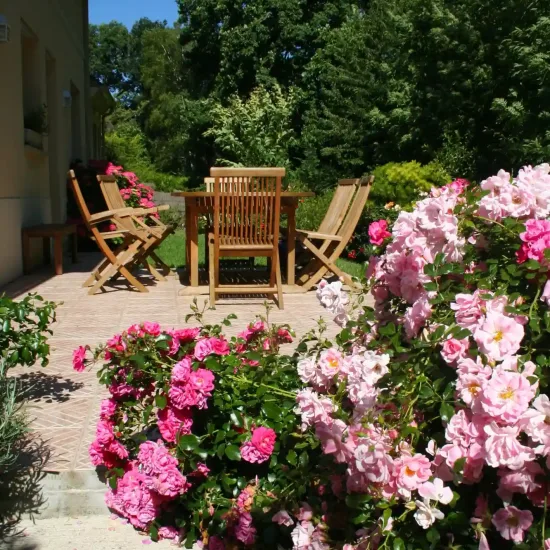 Rosier 'Mareva rose tendre '
